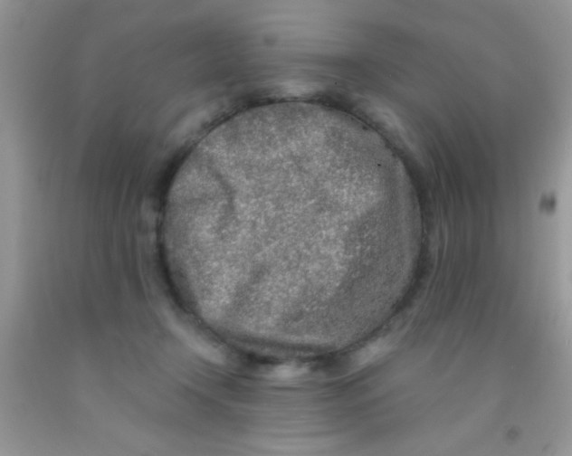 X0000091340366200709071223