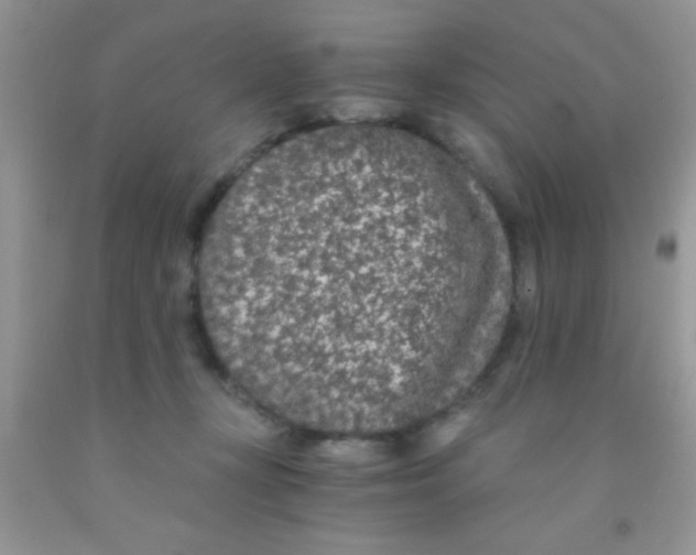 X0000091340367200709071223