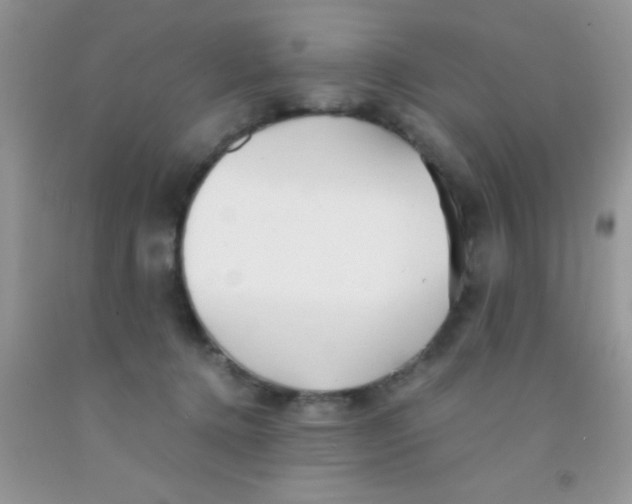 X0000091340368200709071223