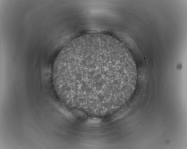 X0000091340369200709071223