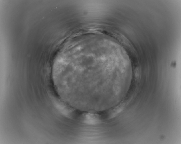 X0000091340372200709071223