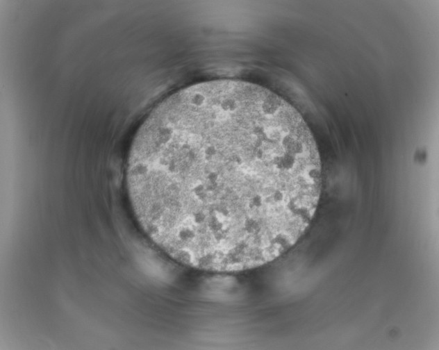 X0000091340374200709071223