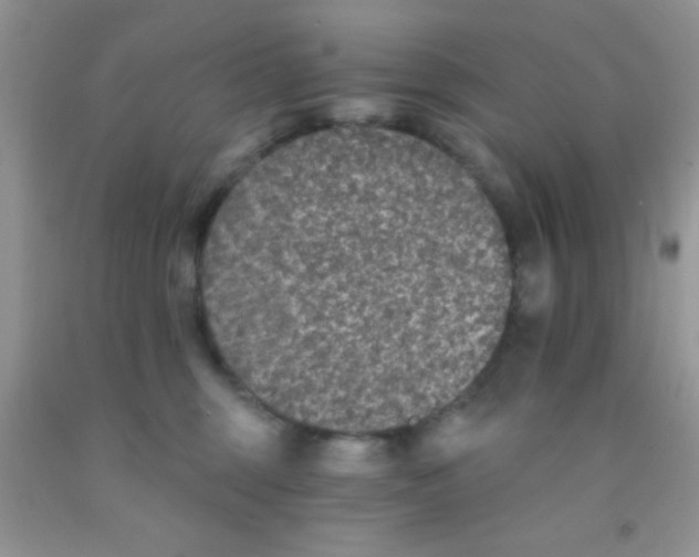 X0000091340375200709071223