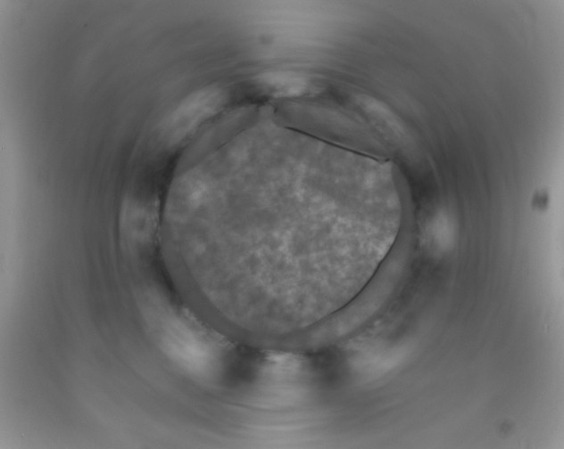 X0000091340376200709071223