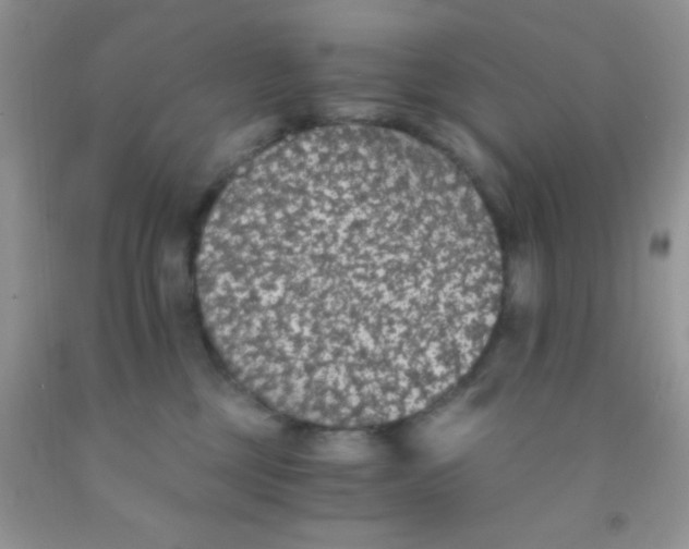 X0000091340377200709071223