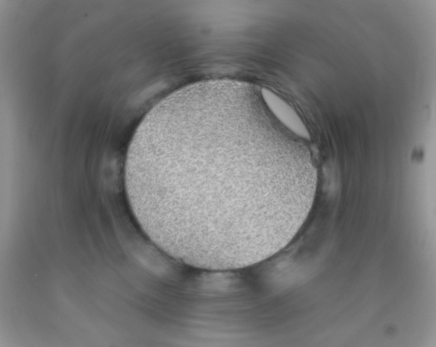 X0000091340378200709071223