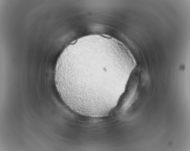 X0000091340379200709071223