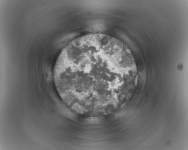 X0000091340381200709071223