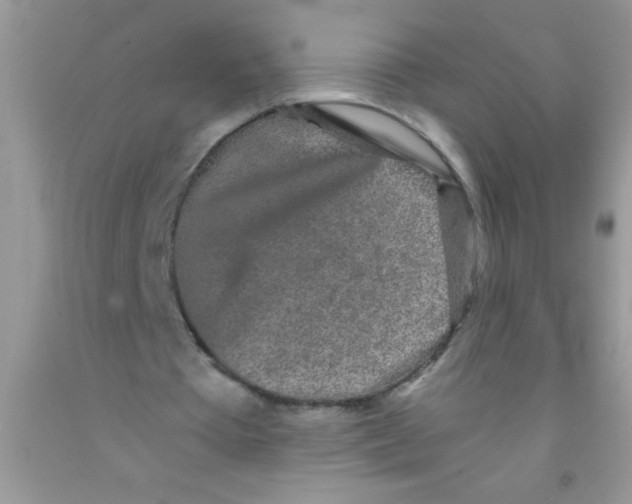 X0000091340385200709071222