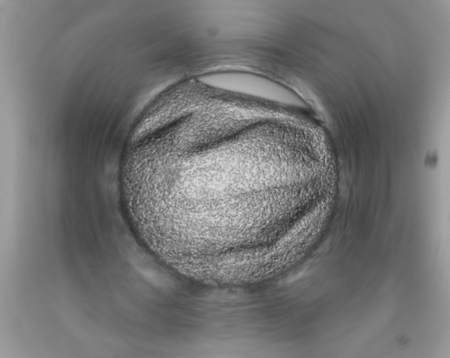 X0000091340386200709071222