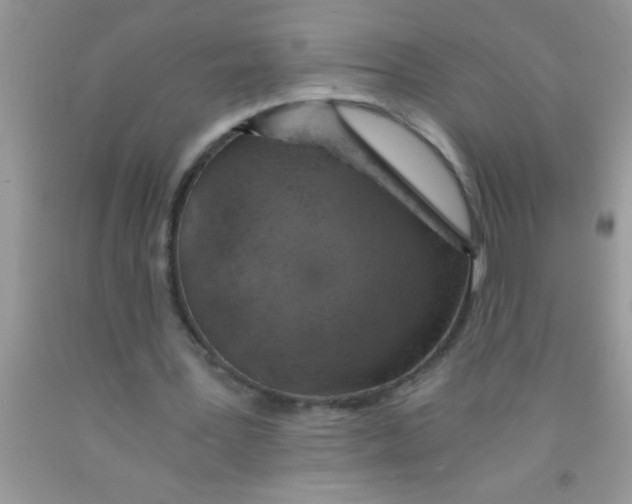 X0000091340387200709071222