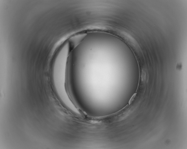 X0000091340388200709071222