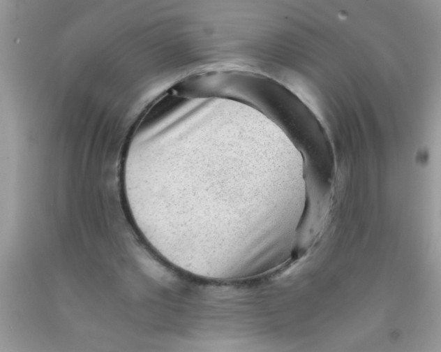 X0000091340389200709071222