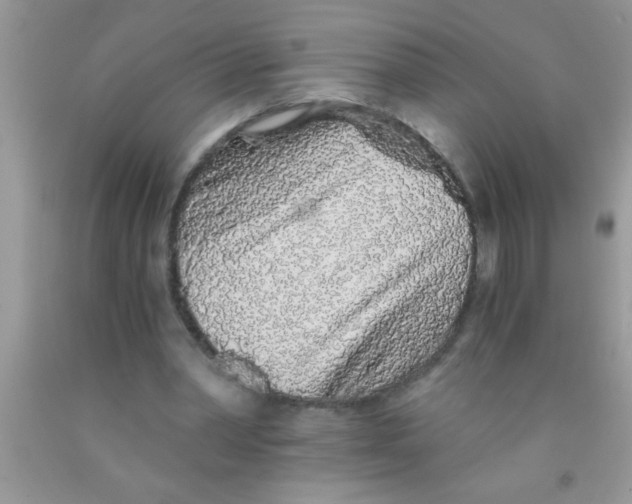 X0000091340390200709071222