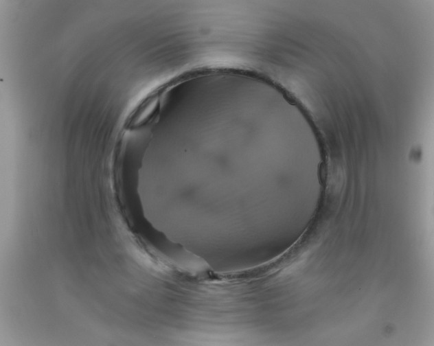 X0000091340391200709071222