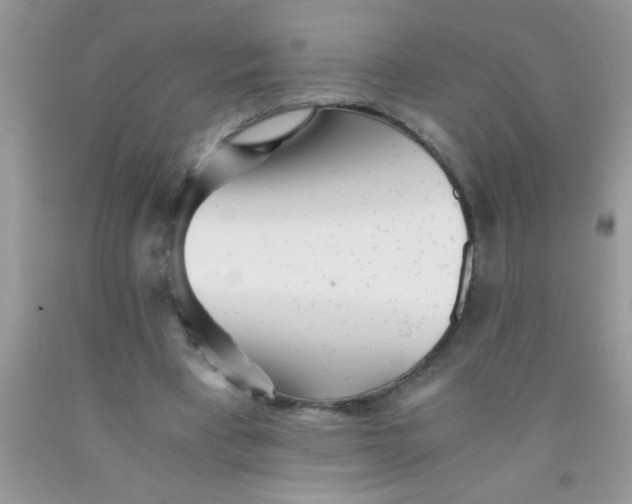 X0000091340393200709071222