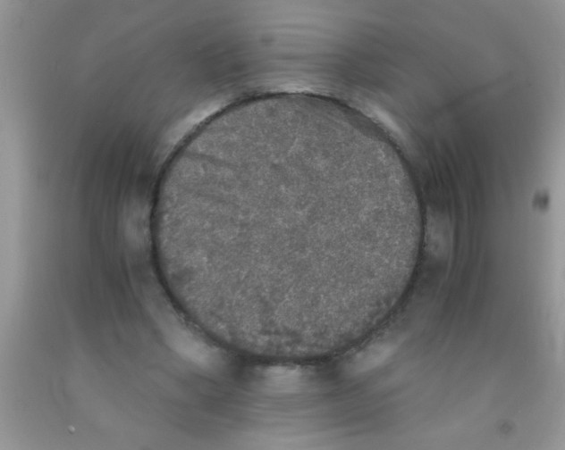 X0000091340394200709071222