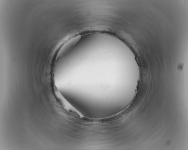 X0000091340395200709071222