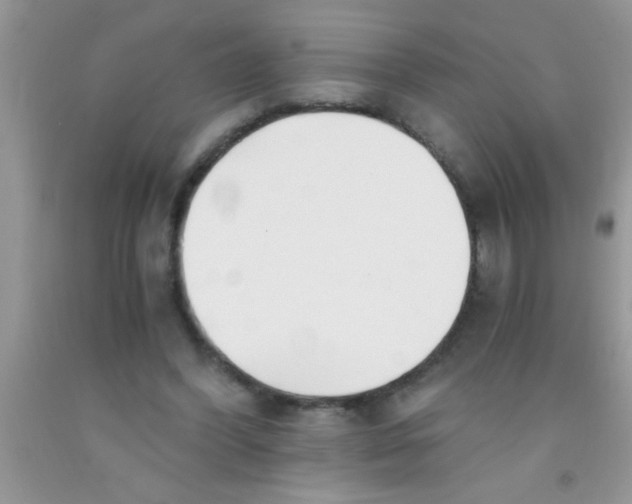 X0000091340396200709071222