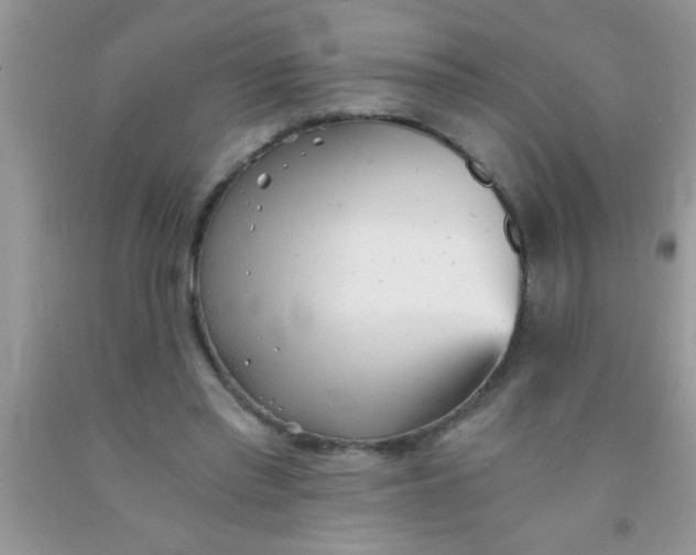 X0000091340397200709071222