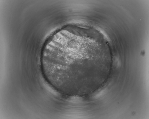 X0000091340399200709071222