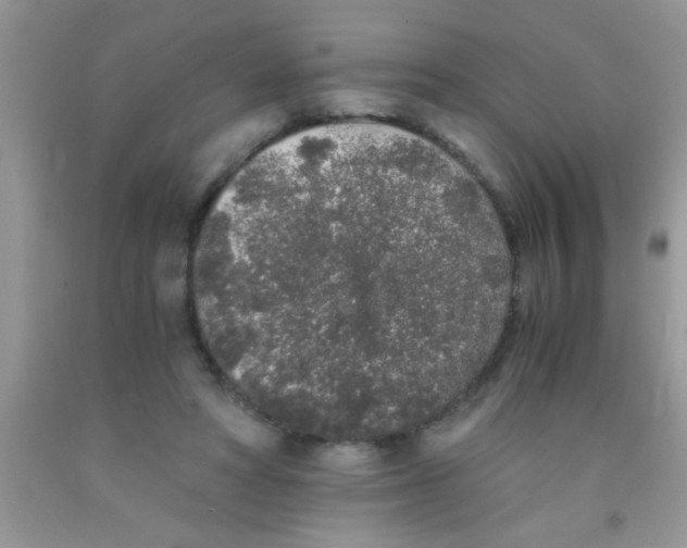 X0000091340402200709071222