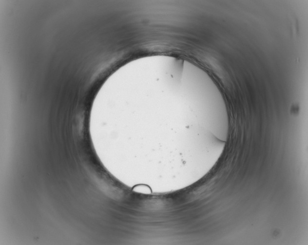 X0000091340404200709071222