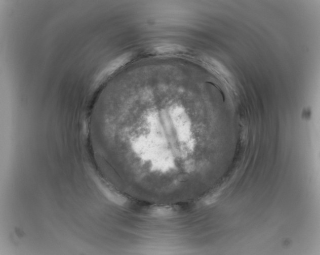 X0000091340405200709071222