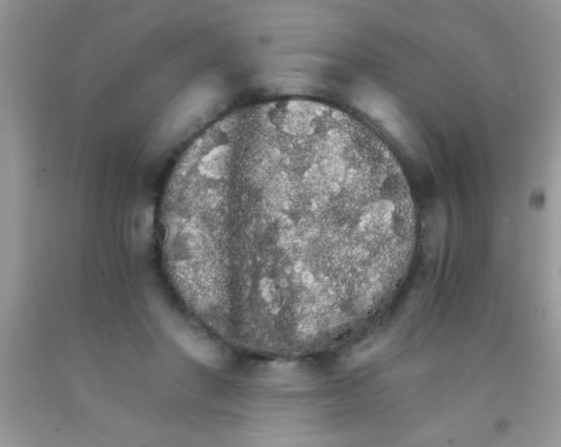 X0000091340406200709071222