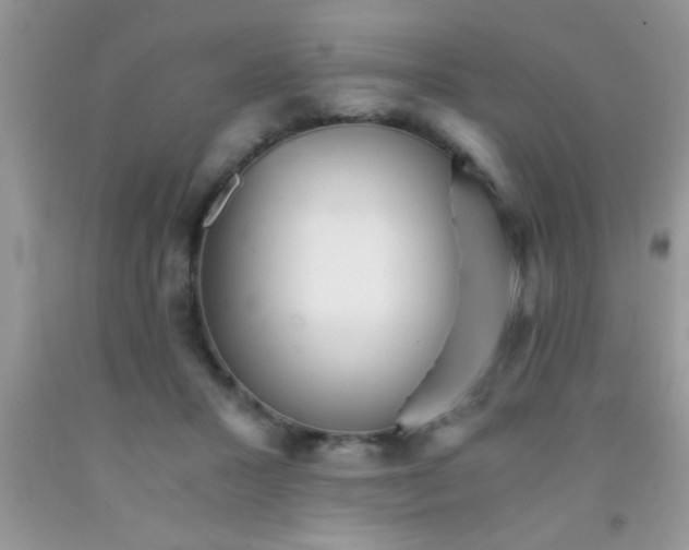 X0000091340407200709071222