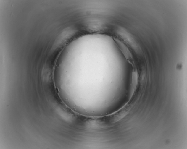 X0000091340408200709071222