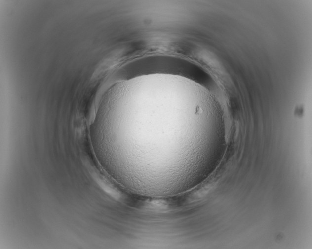 X0000091340409200709071222