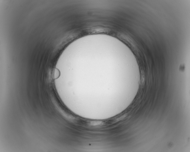 X0000091340410200709071222