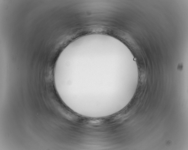 X0000091340411200709071222