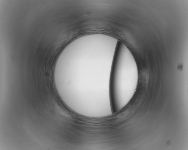 X0000091340412200709071222