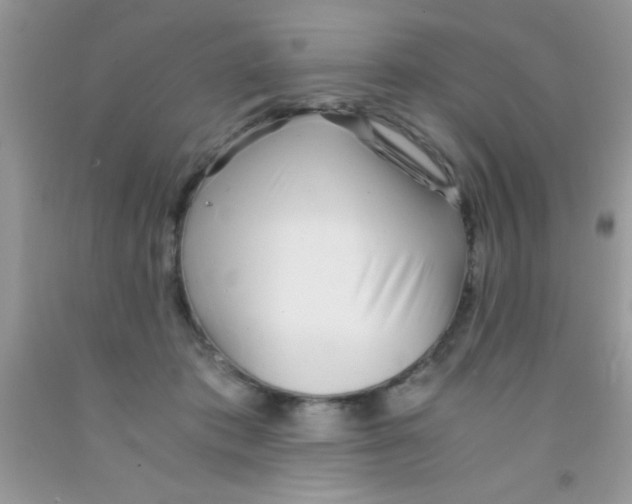 X0000091340413200709071222