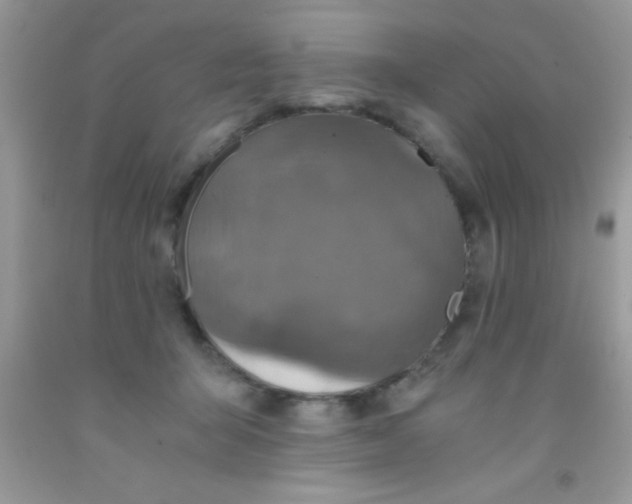 X0000091340415200709071222