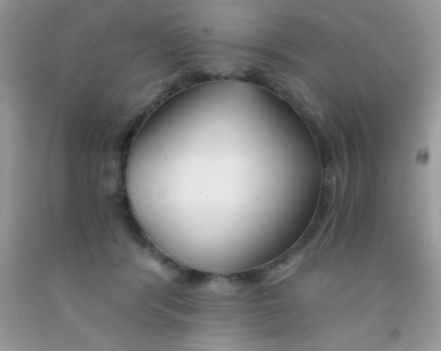 X0000091340416200709071222