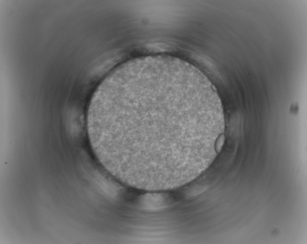 X0000091340418200709071222