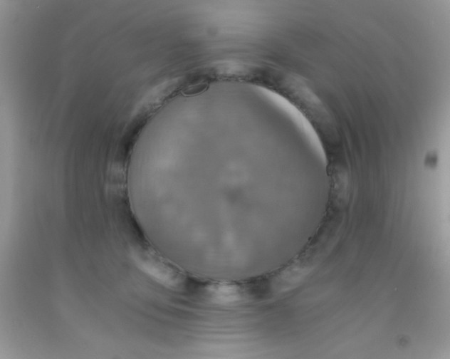 X0000091340419200709071222