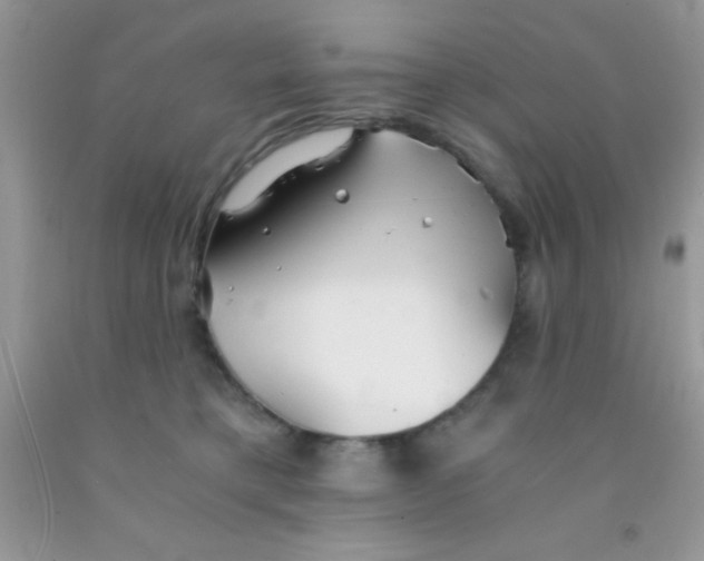 X0000091340421200709071222