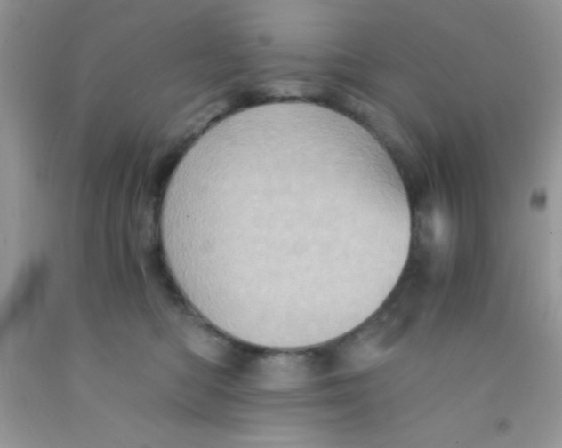 X0000091340422200709071222