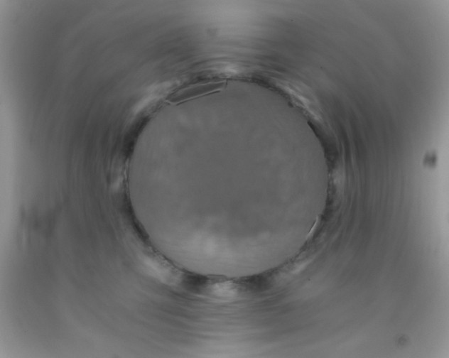 X0000091340423200709071222