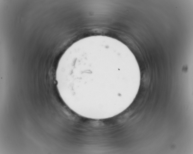 X0000091340424200709071222