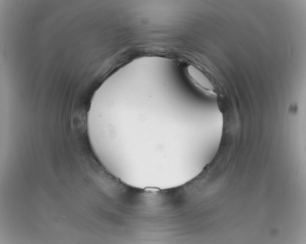 X0000091340425200709071222