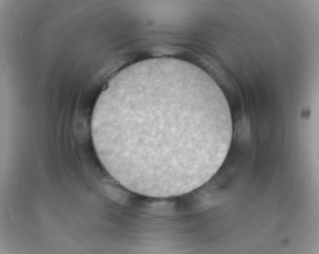 X0000091340426200709071222