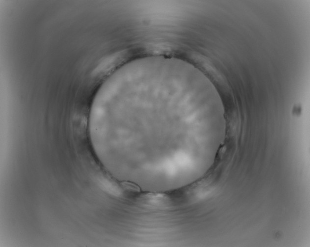 X0000091340427200709071222