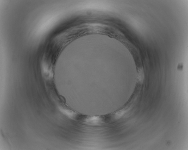 X0000091340431200709071222