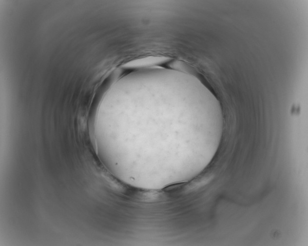 X0000091340432200709071222