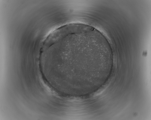 X0000091340434200709071221